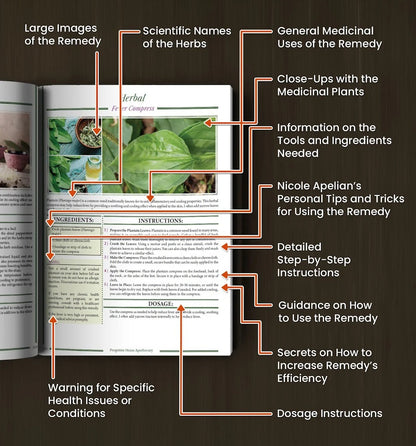 The Forgotten Home Apothecary